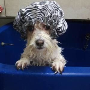 Meet your Posher, Veronica